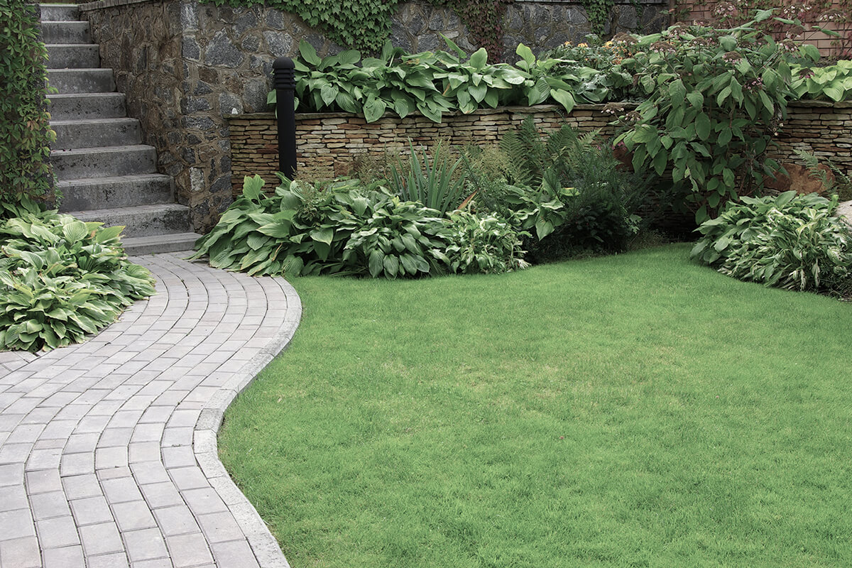 Welcome to Oakwood Landscaping